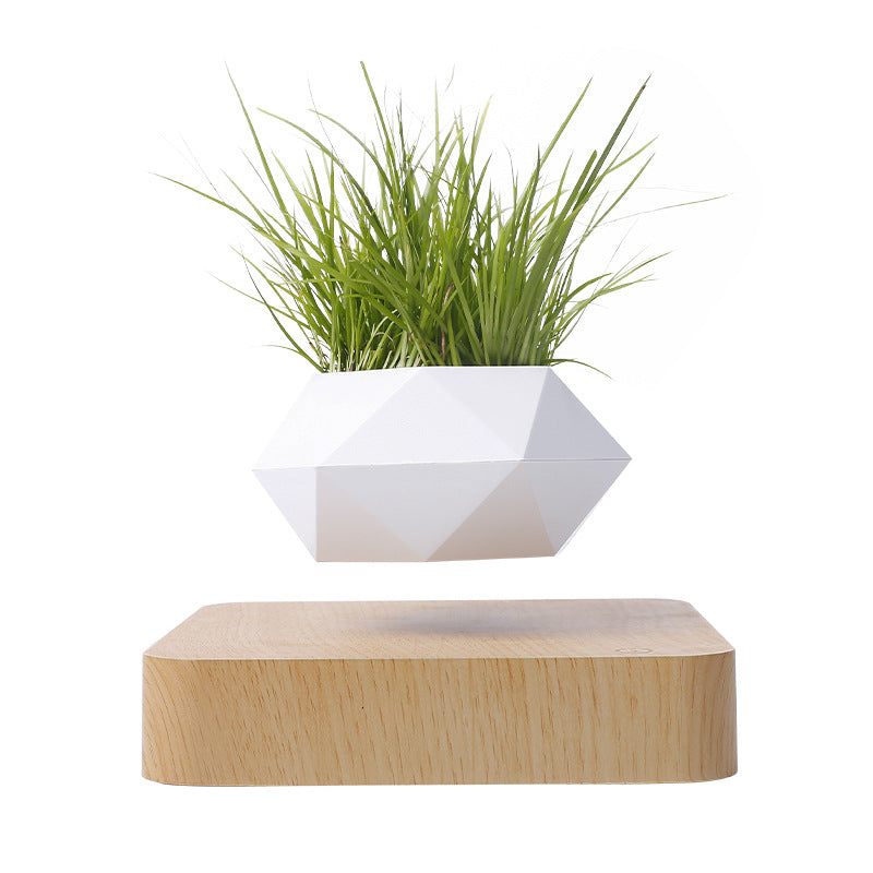 Floating Levitating Magnetic Plant Pot